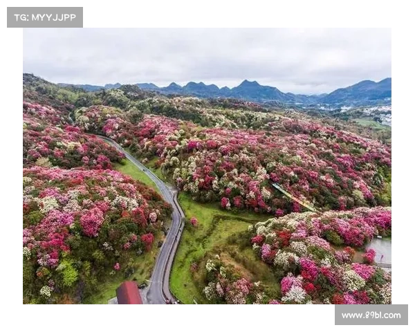 在贵州毕节的山地户外赛事中体验挑战感受自然魅力之旅 在贵州毕节的山地户外赛事中体验挑战感受自然魅力之旅